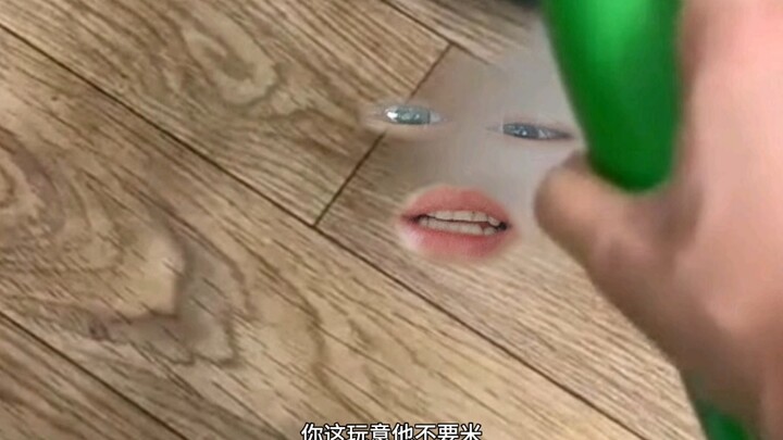 猪：我犯天条了？