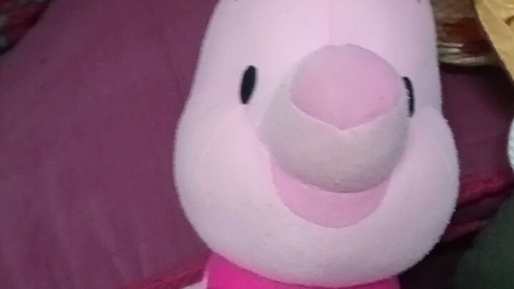 พิกเล็ตตุ๊กตาหมูน้อยสีชมพูที่อาเราสั่งให้เมื่อปี 2024 ตอนเดือนเมษายนเพิ่งมาเจออยู่ในถุงในห้องนอน