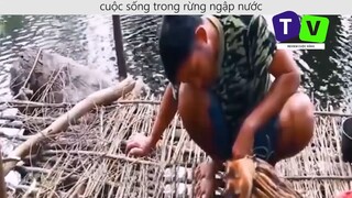 Sinh Tồn Trong Rừng Ngập Nước p8