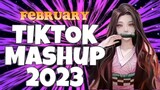 TikTok mashup 2023 February
