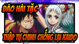 Đảo Hải Tặc|"Thập tự chinh chống lại Kaido, tổng tấn công nổ ra!"