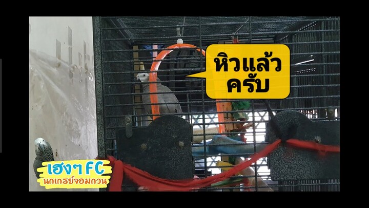 EP.318 พอใกล้ถึงเวลากินข้าว พี่เฮงก็จะทวงของกินแบบนี้