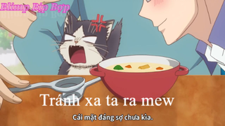 Chú mèo đáng thương rơi vào tay hội cuồng mèo - animeclip