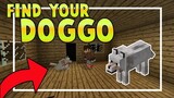 Find Your Doggo [MINIGAME]  plays by Jayvee TV in Mincraft Pe