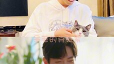 我的小猫咪~#肖战杨紫 #肖战 #杨紫
