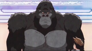 After the gorilla evolved, it turned out that it was not a human being.