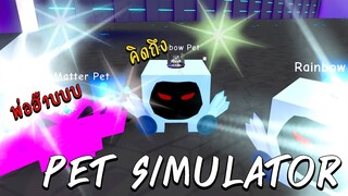 กลับมาดูความเปลี่ยนเเปลง - Pet Simulator