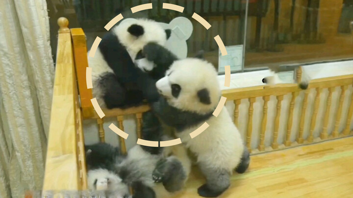 Three giant sun heads - The three Cheng sisters playing together and having happy times