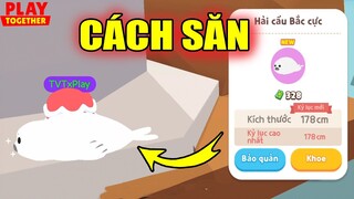 Đã Tìm Ra Cách Săn Cá "Hải Cẩu Bắc Cực" Thành Công 100% | Play Together