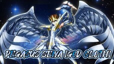 Pegasus Seiya [God Cloth] VS Siegfried