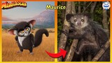 Madagascar Characters In Real Life