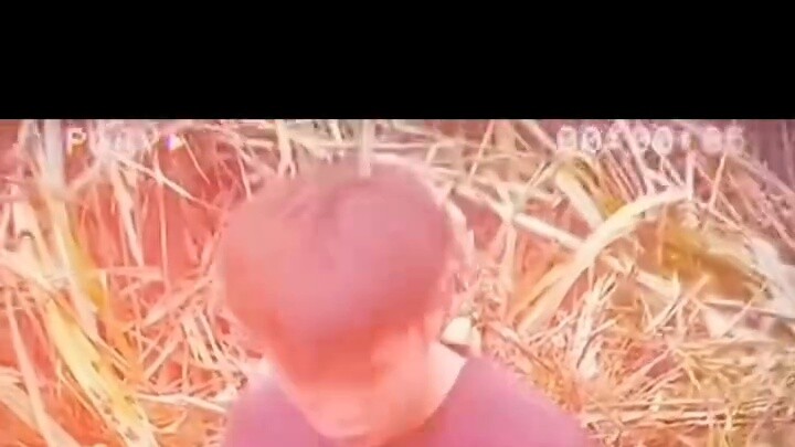Năm mới, lời chúc mới và mong tổ tiên phù hộ bạn! Con rắn mang lại may mắn và thịnh vượng