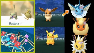 Pokemon Day flower Eeveelution, Overload Triple Snorlax spawn + new shiny rattata,  pidgey release!