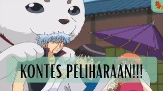 Gintama ||❗❗  Kontes Peliharaan  ❗❗