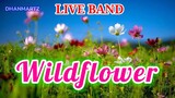 #Live_Band WILD FLOWER