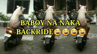 BABOY NA NAKA BACKRIDE, PINOY MEMES, FUNNY VIDEOS