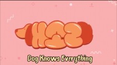 Dog Knows Everything eps 8