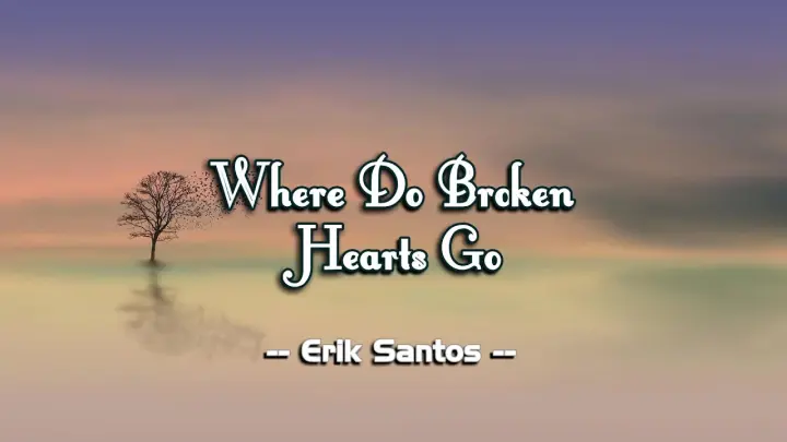 Where Do Broken Hearts Go - Erik Santos  ( KARAOKE )
