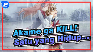 Akame ga KILL! | [Kesedihan] Yang Bisa Bertahan Adalah Yang Paling Menderita_2