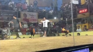 2Hits Champion Darasa tanauan 😍🙏🥇🥇👑