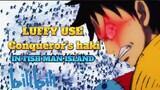 Luffy Conqueror's HAKI in FISH MAN ISLAND