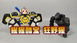 头顶怎么尖尖的？猩猩酷宝   快乐酷宝
