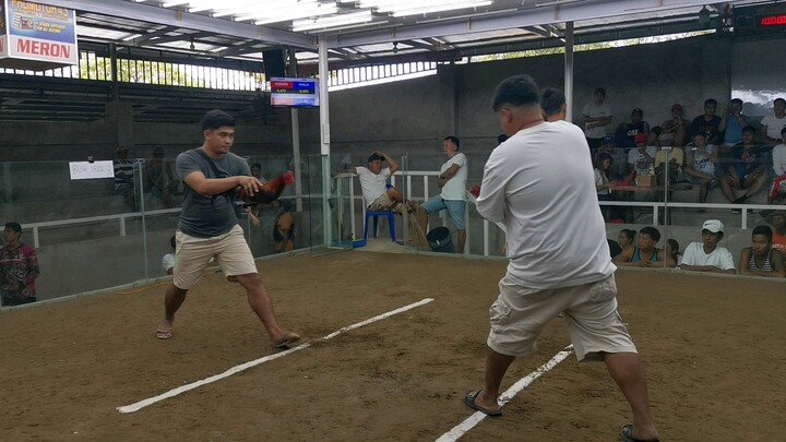 White shirt kame champion kame ang tibay ng 7 months vs magulang