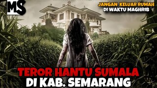 FILM SUMALA‼️