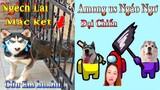 Thú Cưng TV | Dương KC Pets | Ngáo Và Ngơ #15 | chó thông minh vui nhộn | funny cute smart dog