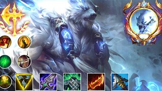 VOLIBEAR MONTAGE 2022 - สมบูรณ์แบบ