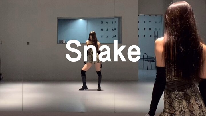 Snake