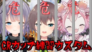 【CRカップ】APEXのプロの中にいれられた赤ちゃん【ホロライブ/夏色まつり】