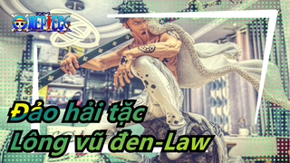 Đảo hải tặc|[Axiu Đập hộp/GK] Lông vũ đen-Law-Dị sắc