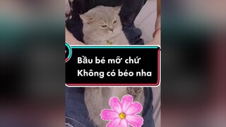 Nhấn mạnh lại Lượm không hề béo 😅luomwcat catsoftiktok nhayvuisongkhoe meocute