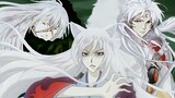 "I like beauties with long white hair and high martial arts values and deep affection" [Sesshomaru |