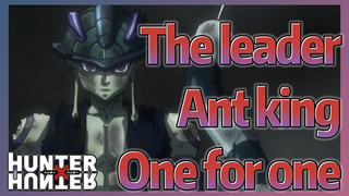The leader Ant king One for one