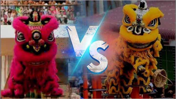 Atraksi Barongsai Terhebat - Lion Dance Pink vs Orange Ungaran