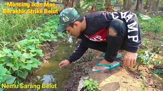 Mancing Ikan Mas Berakhir Strike Belut