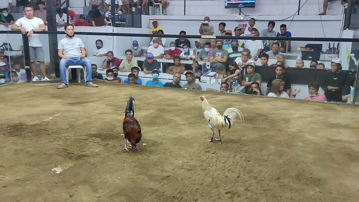 comando gamefarm
