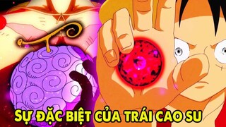 Sự Đặc Biệt Của Trái Cao Su | Khắc Tinh Trái Trận Động, Sấm Sét | Phân Tích One Piece