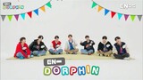 #ENHYPEN | EN-DORPHIN #1