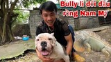 Lần Đầu Tiên Bully American Đối Mặt Rồng Nam Mỹ Và Cái Kết | Săn Bắt Ẩm Thực Vùng Cao