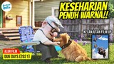 KISAH SEHARI-HARI CARL DAN DUG SETELAH FILM UP!! | ALUR CERITA DUG DAYS (2021)