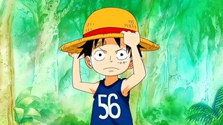 onepiece edit // luffy edit