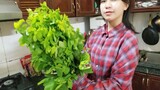 Van Anh guide how to pick vegetables