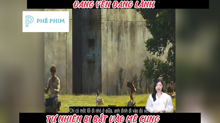 "GIẢI MÃ MÊ CUNG"-PHẦN 1