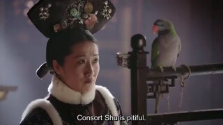 Episode 49 of Ruyi's Royal Love in the Palace | English Subtitle -