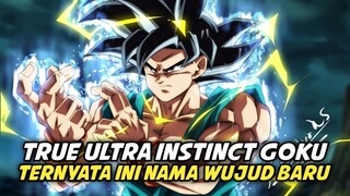 Ternyata Ini Nama dari Wujud Ultra Instinct Baru Goku di Dragon Ball!