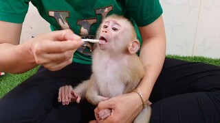 Look So Cute Obedient Sono Eating Yogurt