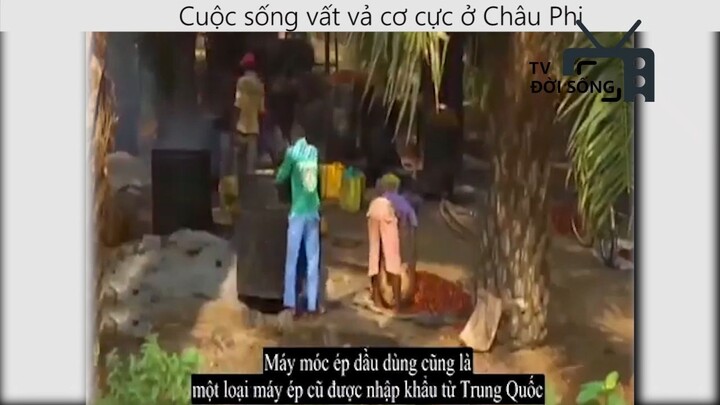 cuộc sống vất vả cơ cực ở châu phi _phần 7